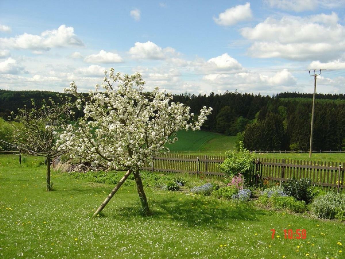Pension Steiger Бад-Грісбах Екстер'єр фото
